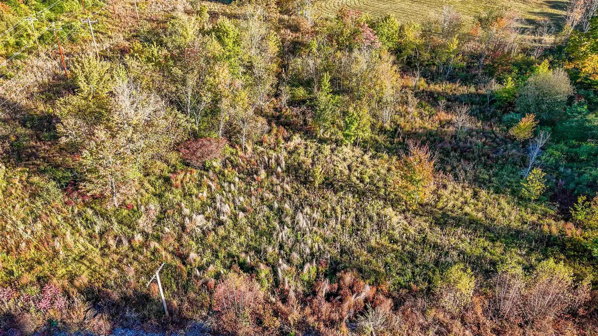 Map 3 Lot 36-1 Oak Street Rollinsford NH 03869