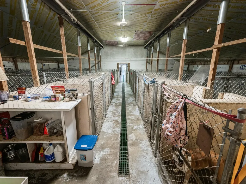 101 Ossipee Lake Road Tamworth NH 03886