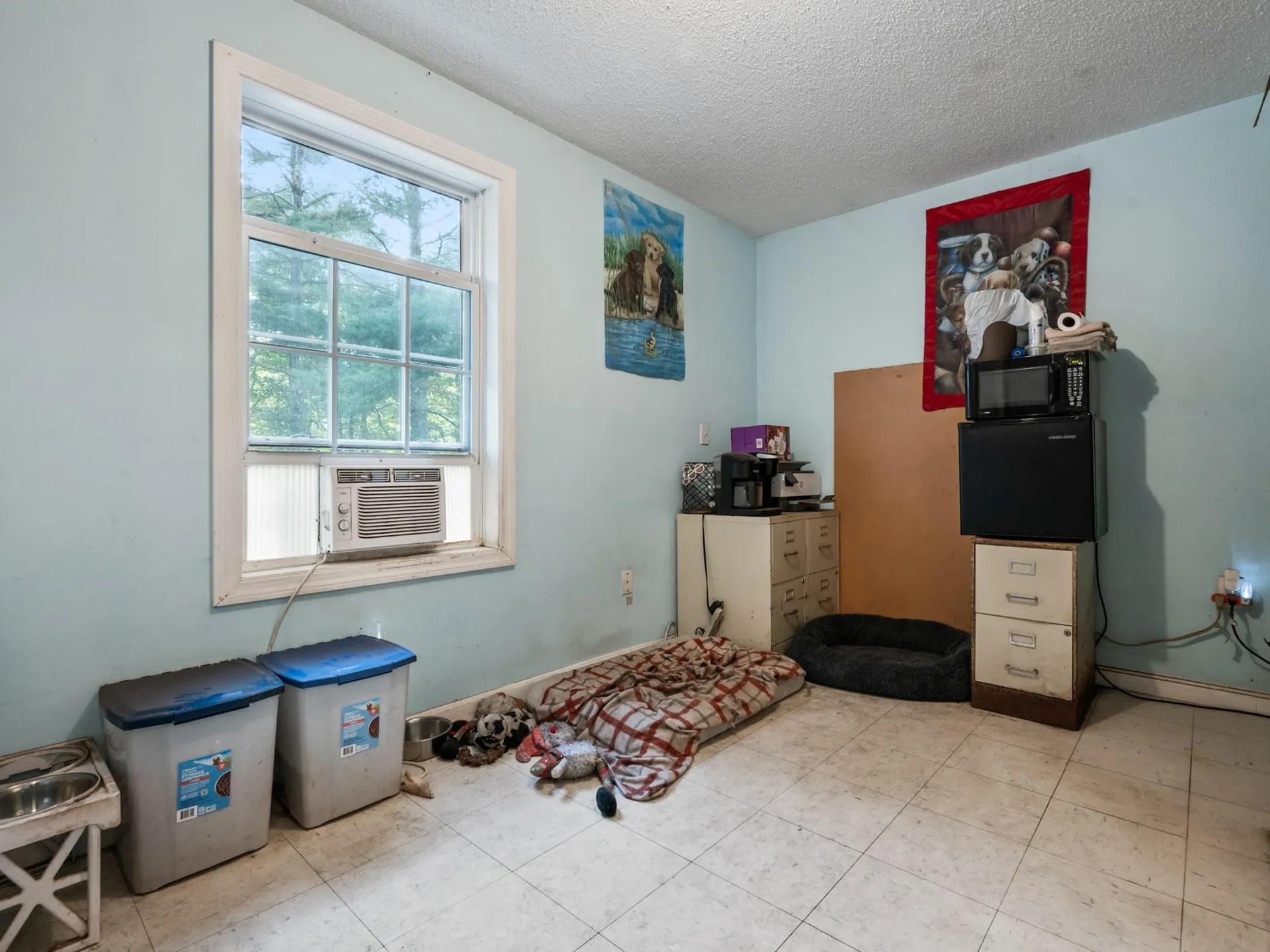 101 Ossipee Lake Road Tamworth NH 03886