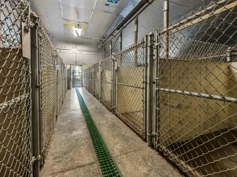 101 Ossipee Lake Road Tamworth NH 03886