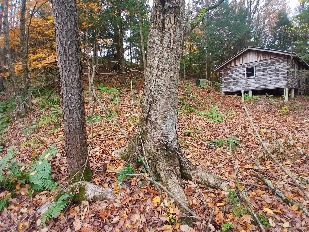 5 East Wilder Road Lebanon NH 03784