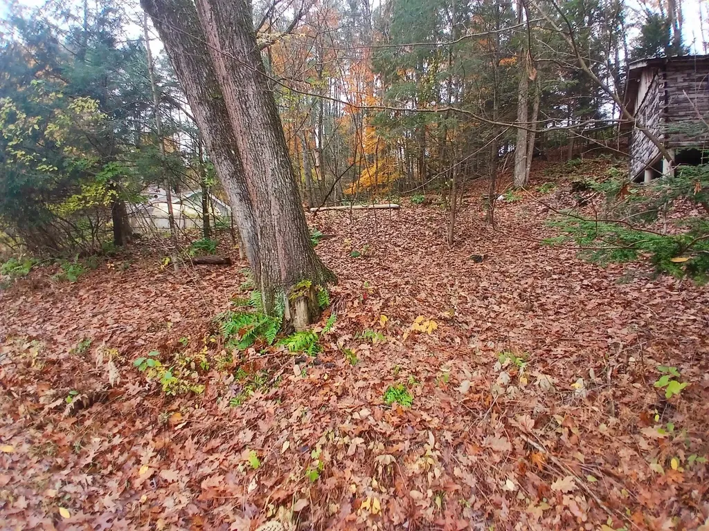 5 East Wilder Road Lebanon NH 03784