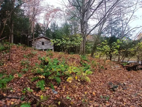 5 East Wilder Road Lebanon NH 03784