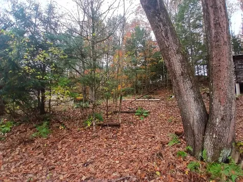 5 East Wilder Road Lebanon NH 03784