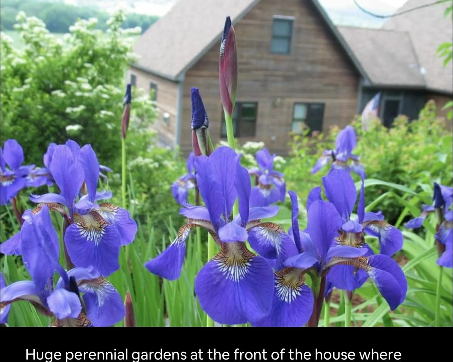 291 Sweet Road Cambridge VT 05444