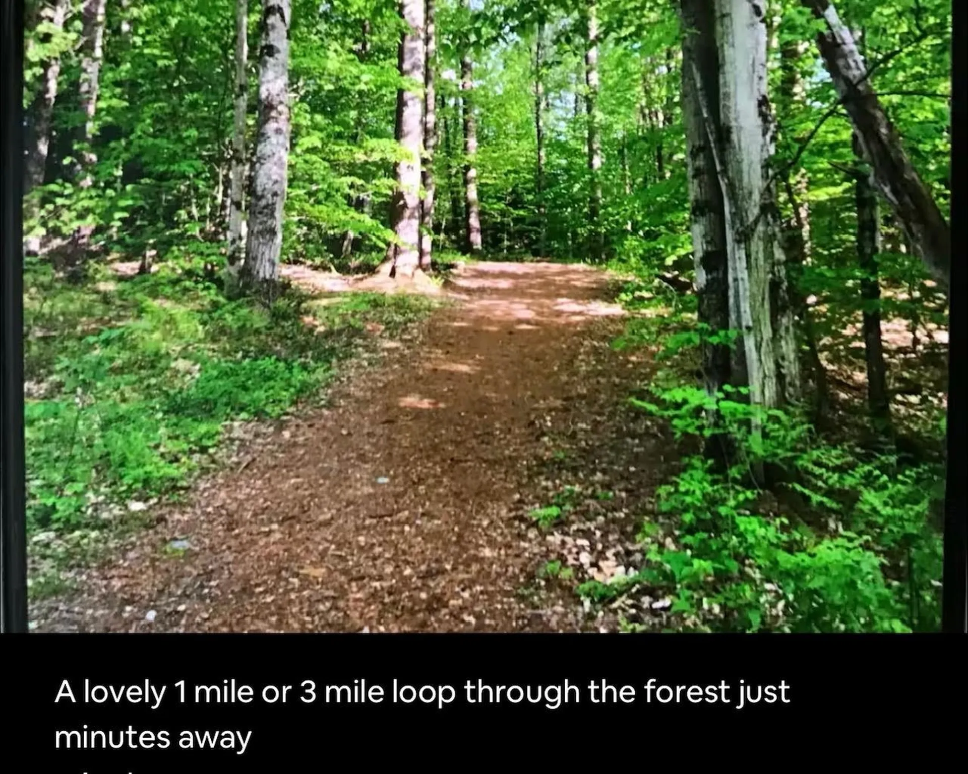 291 Sweet Road Cambridge VT 05444