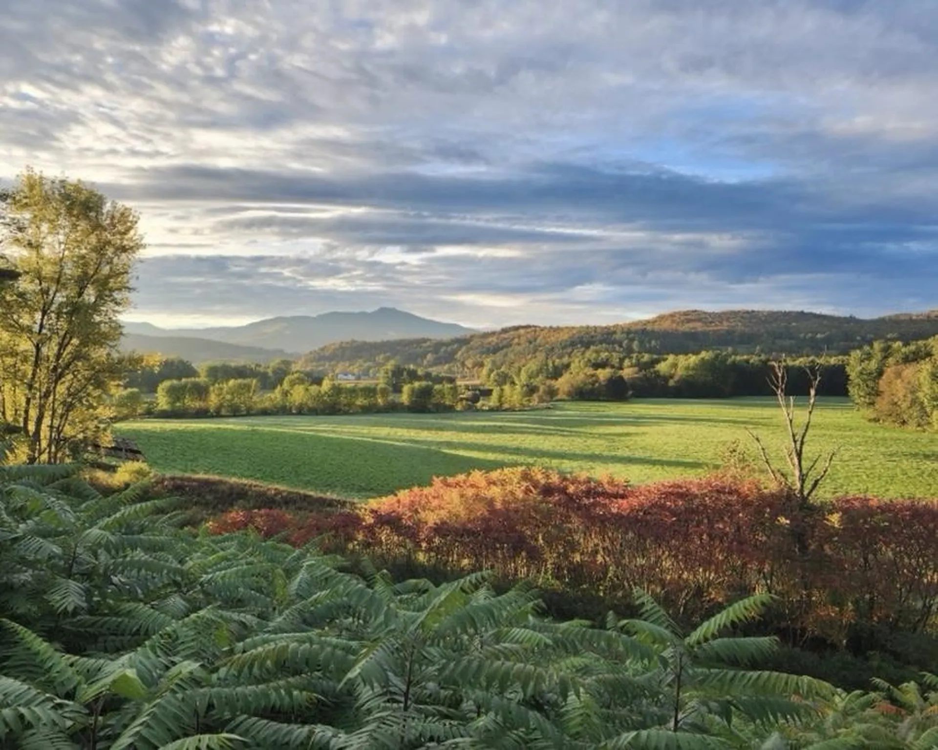 291 Sweet Road Cambridge VT 05444