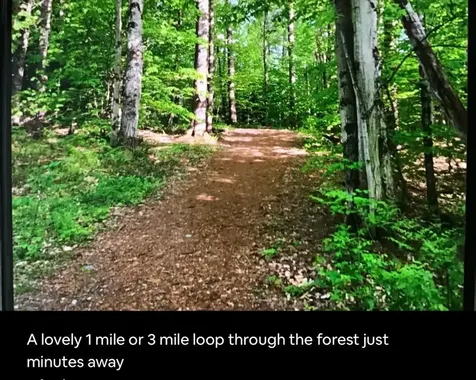 291 Sweet Road Cambridge VT 05444