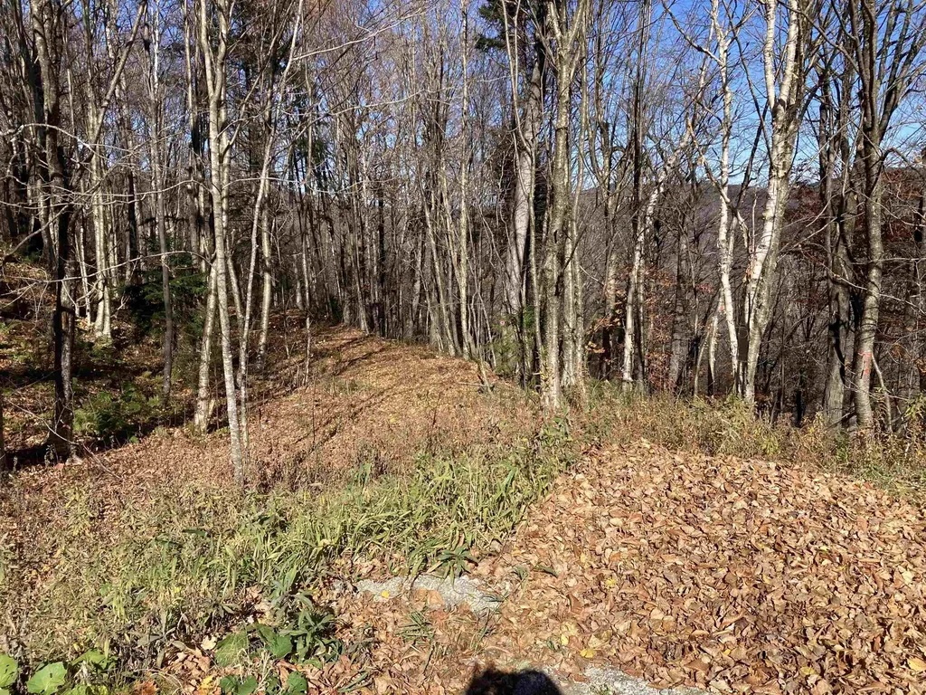 Lot 27 Roundabout Road Killington VT 05751