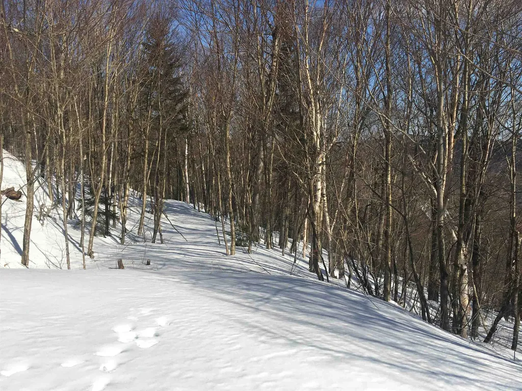 Lot 27 Roundabout Road Killington VT 05751