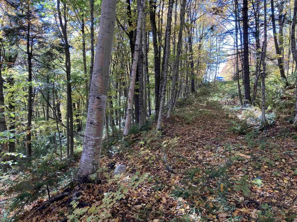 Lot 27 Roundabout Road Killington VT 05751