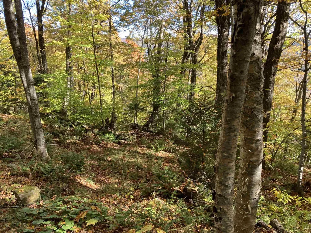 Lot 27 Roundabout Road Killington VT 05751