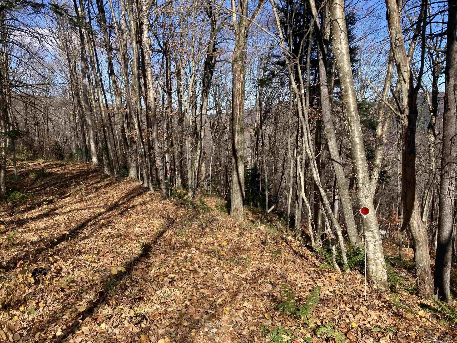 Lot 27 Roundabout Road Killington VT 05751