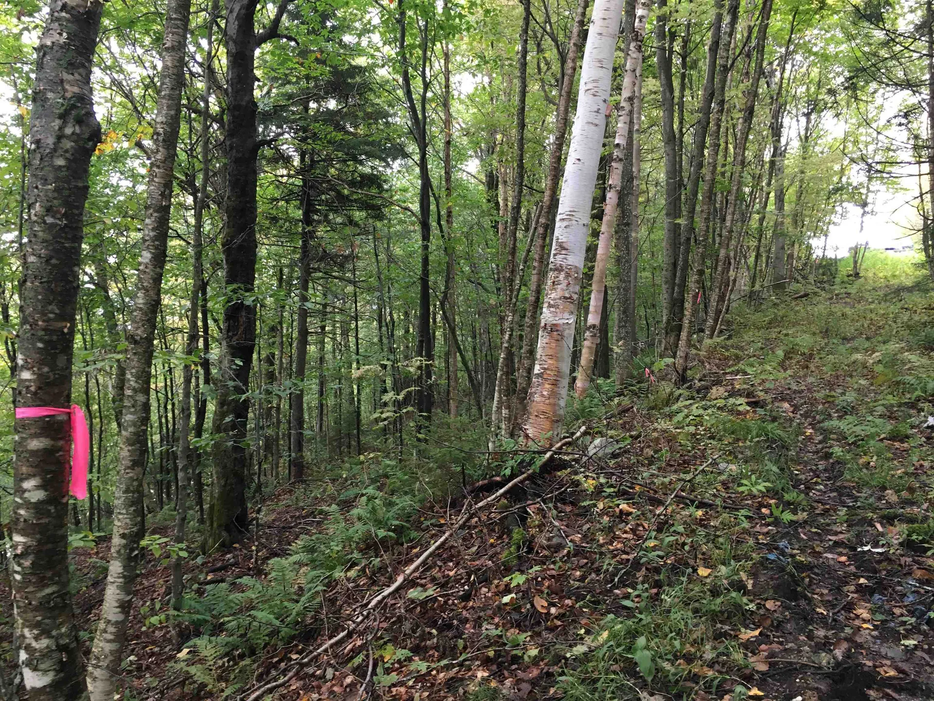 Lot 27 Roundabout Road Killington VT 05751