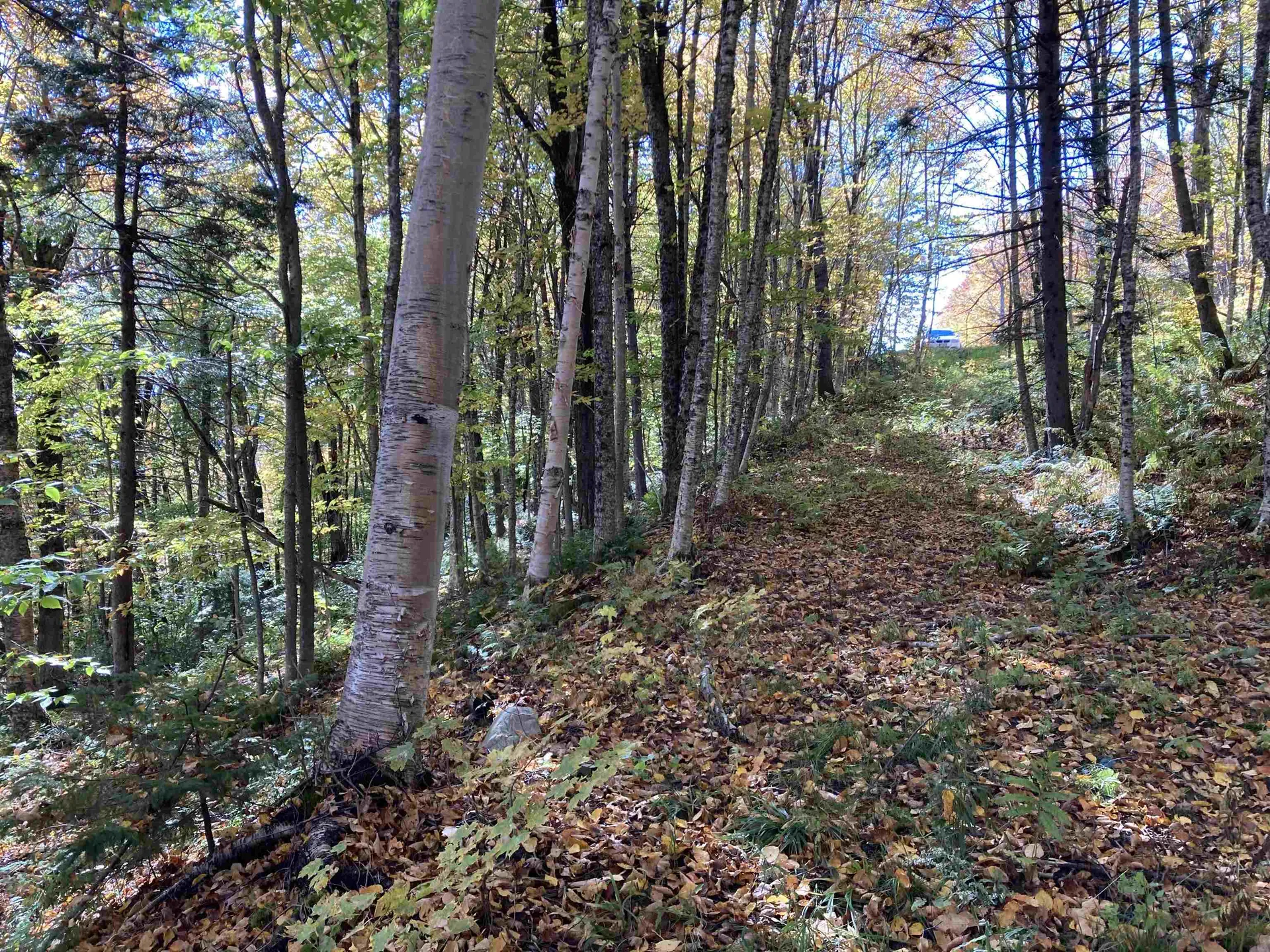 Lot 27 Roundabout Road Killington VT 05751