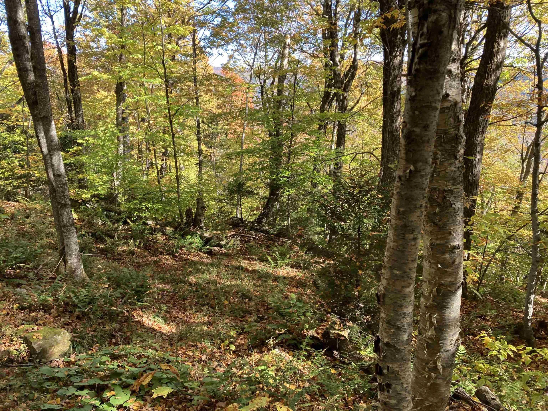 Lot 27 Roundabout Road Killington VT 05751
