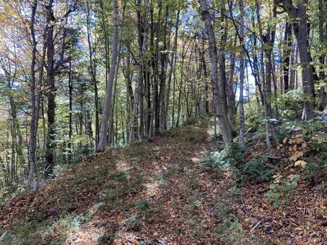 Lot 27 Roundabout Road Killington VT 05751