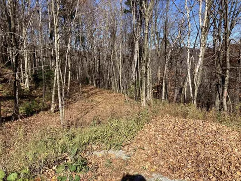 Lot 27 Roundabout Road Killington VT 05751