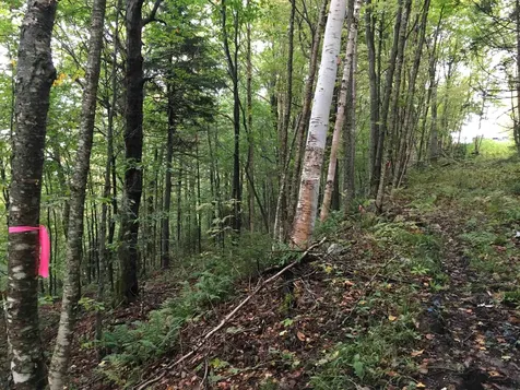 Lot 27 Roundabout Road Killington VT 05751