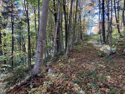 Lot 27 Roundabout Road Killington VT 05751