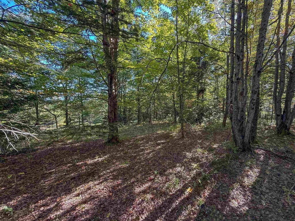 307 Kidder Hill Ridge Irasburg VT 05845