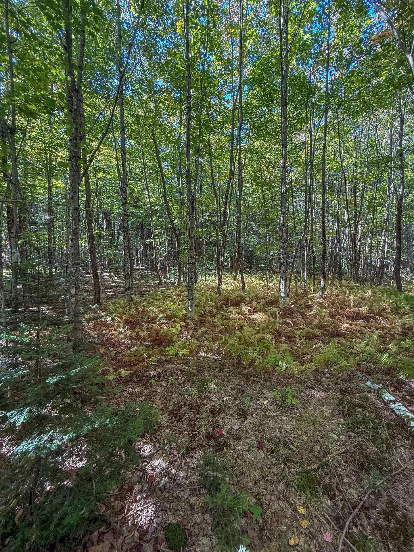 307 Kidder Hill Ridge Irasburg VT 05845