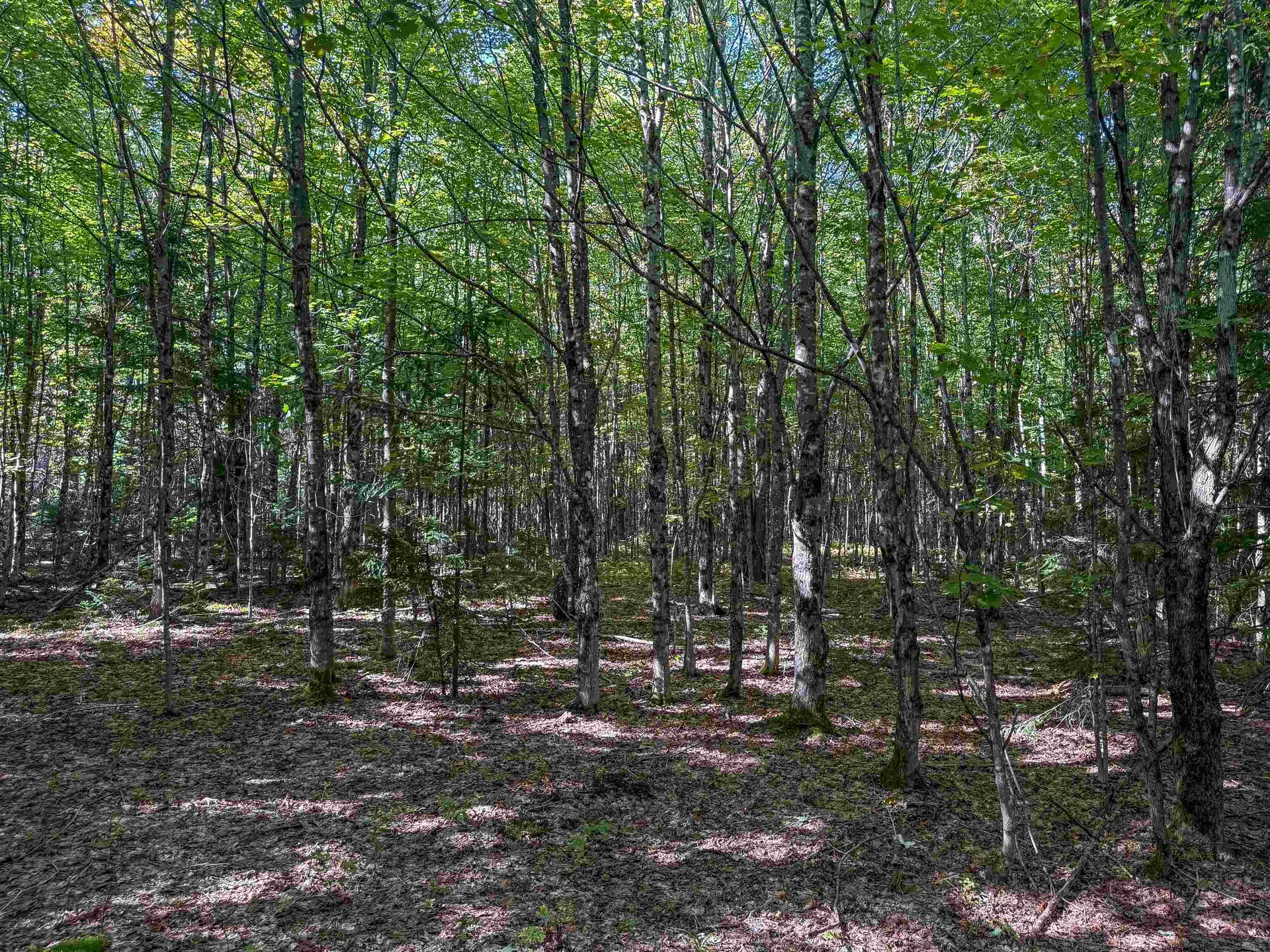 307 Kidder Hill Ridge Irasburg VT 05845