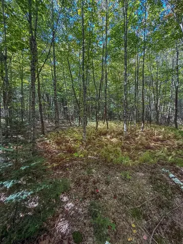 307 Kidder Hill Ridge Irasburg VT 05845