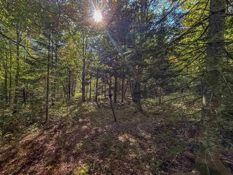 307 Kidder Hill Ridge Irasburg VT 05845