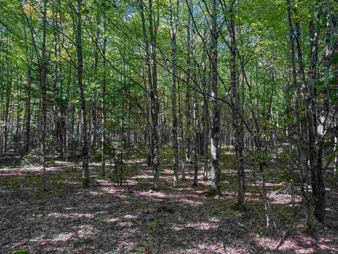 307 Kidder Hill Ridge Irasburg VT 05845