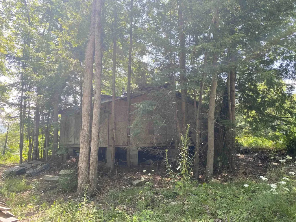 696 Route 100 North Ludlow VT 05149