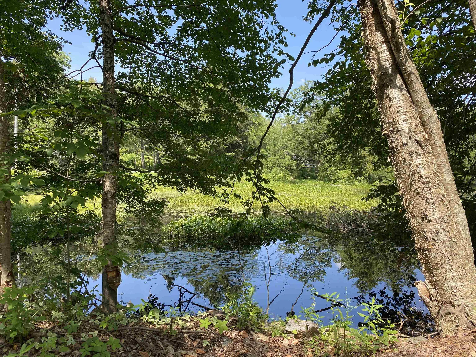 696 Route 100 North Ludlow VT 05149