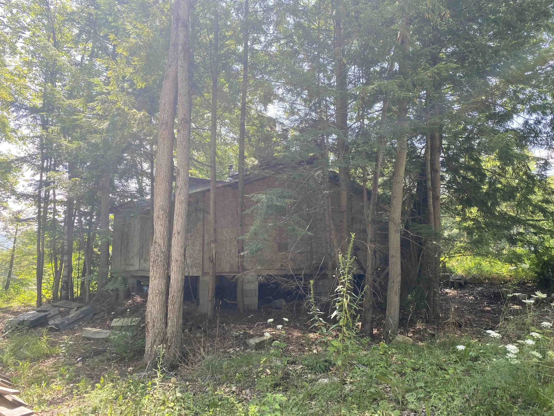 696 Route 100 North Ludlow VT 05149