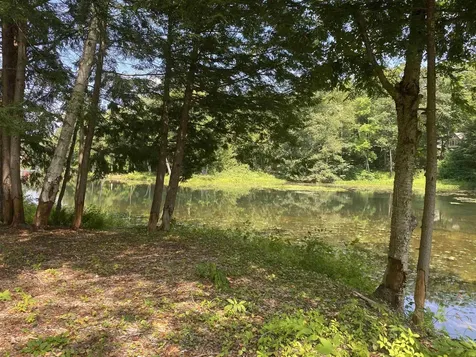 696 Route 100 North Ludlow VT 05149