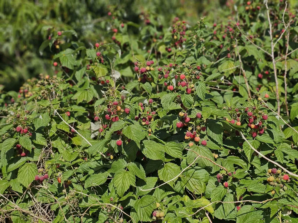 2137 Brockway Mills Road Rockingham VT 05101