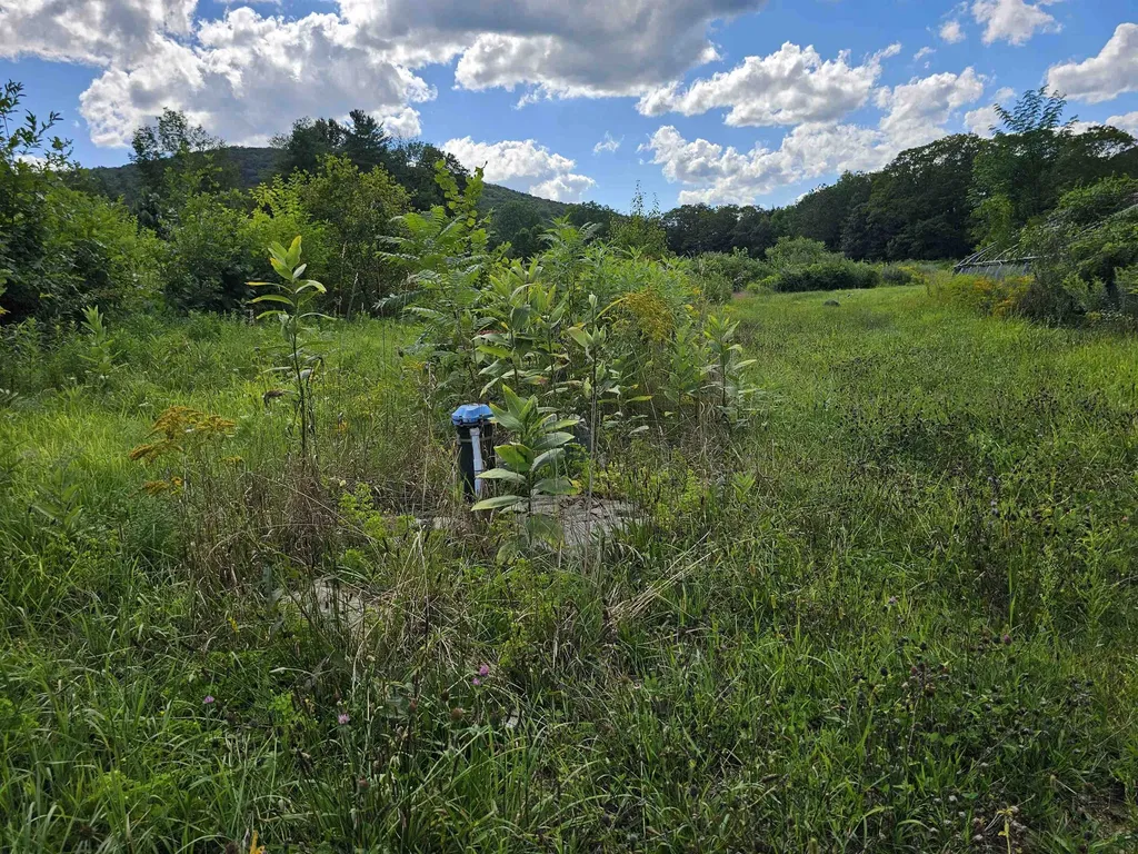 2137 Brockway Mills Road Rockingham VT 05101