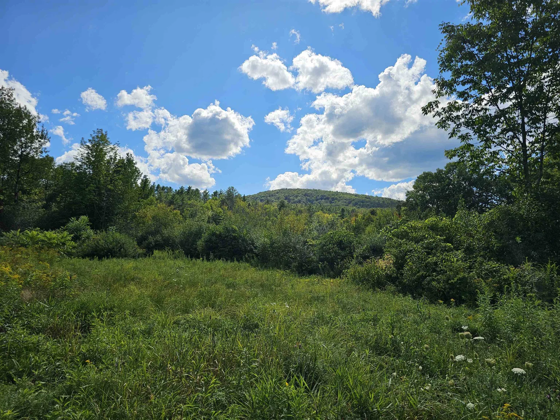 2137 Brockway Mills Road Rockingham VT 05101