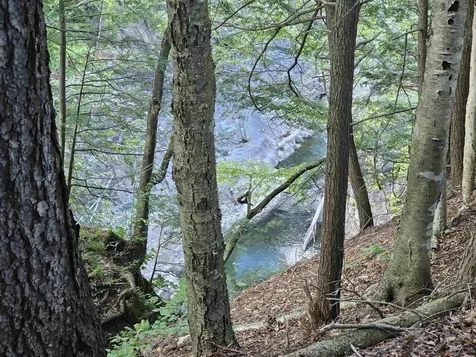 2137 Brockway Mills Road Rockingham VT 05101