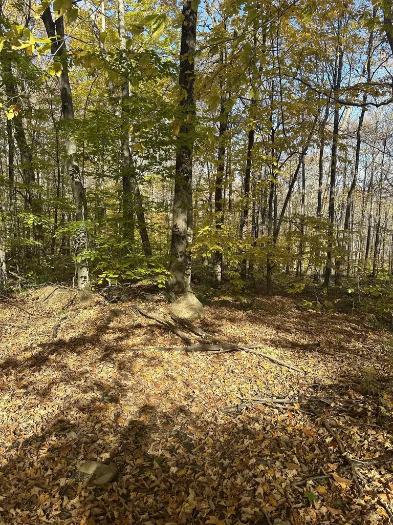 1928 Vt. Route 131 Weathersfield VT 05030