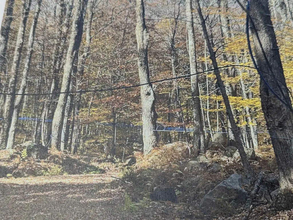 1928 Vt. Route 131 Weathersfield VT 05030