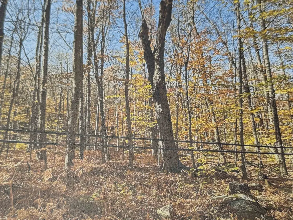 1928 Vt. Route 131 Weathersfield VT 05030