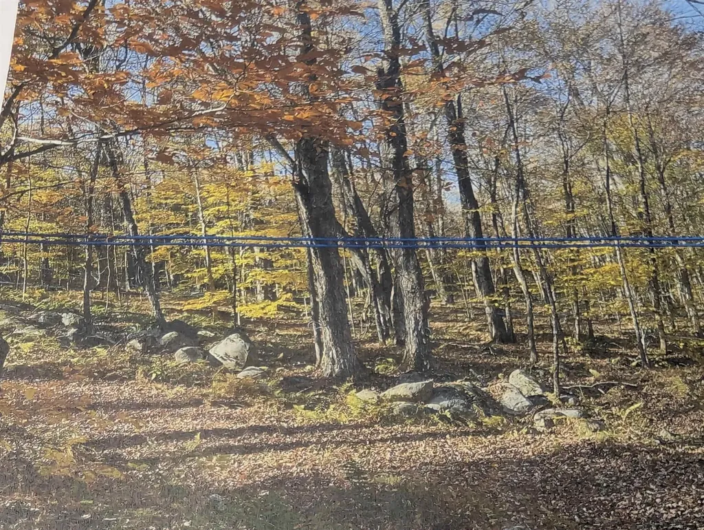 1928 Vt. Route 131 Weathersfield VT 05030