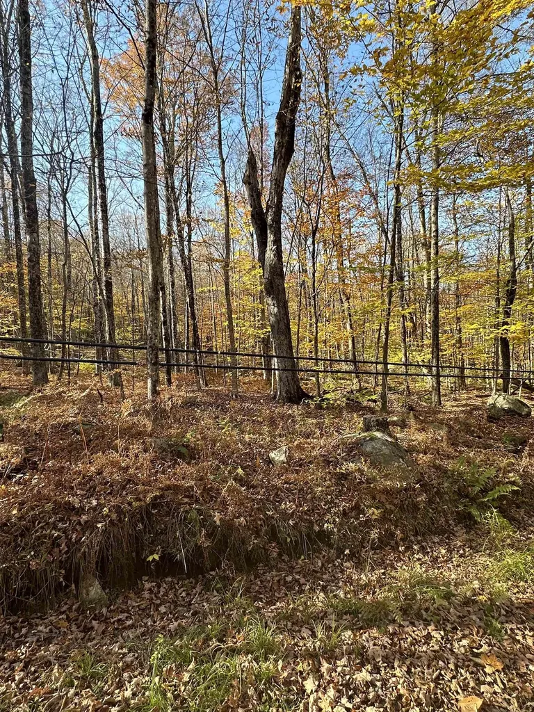 1928 Vt. Route 131 Weathersfield VT 05030