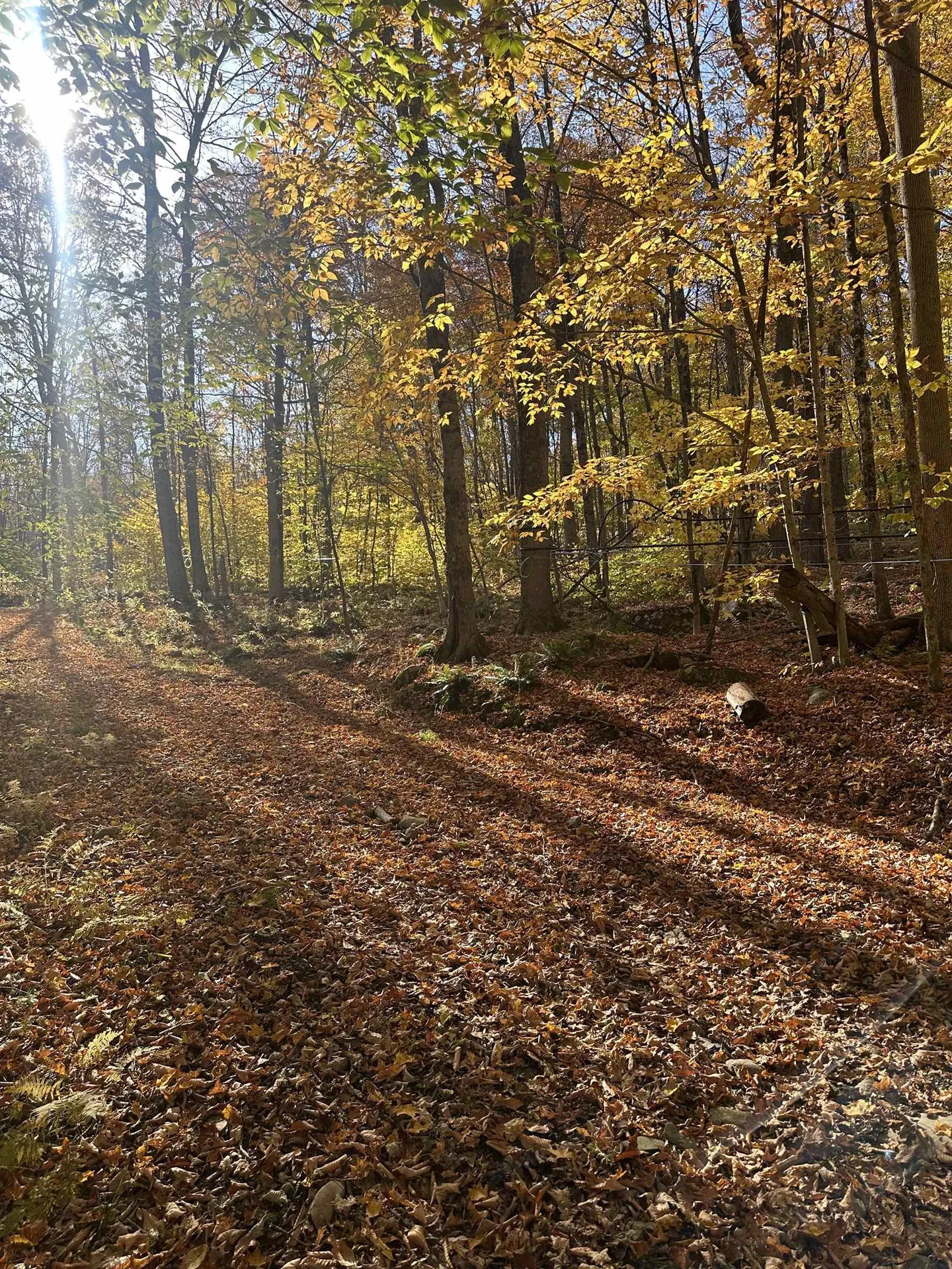 1928 Vt. Route 131 Weathersfield VT 05030