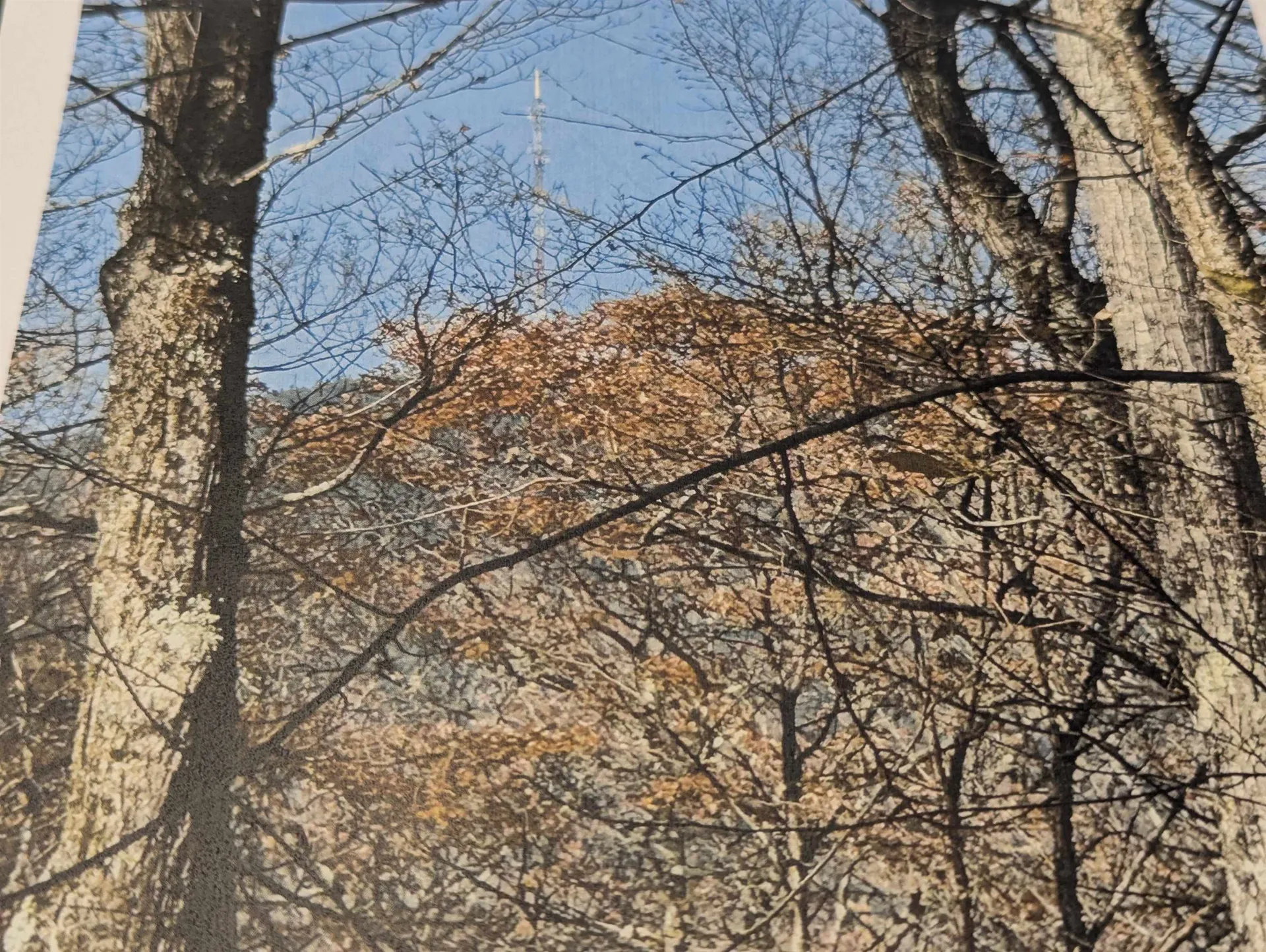 1928 Vt. Route 131 Weathersfield VT 05030