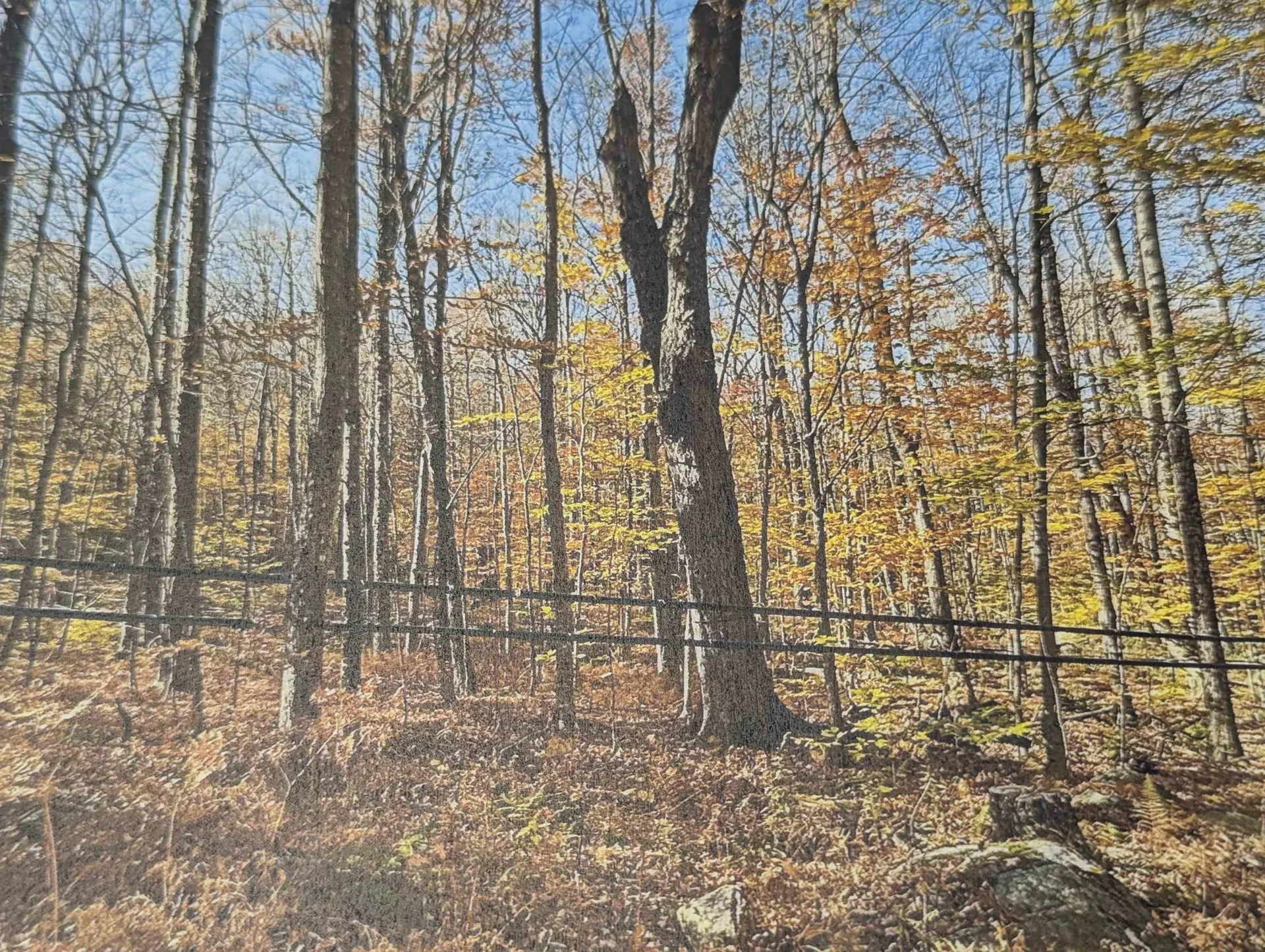 1928 Vt. Route 131 Weathersfield VT 05030