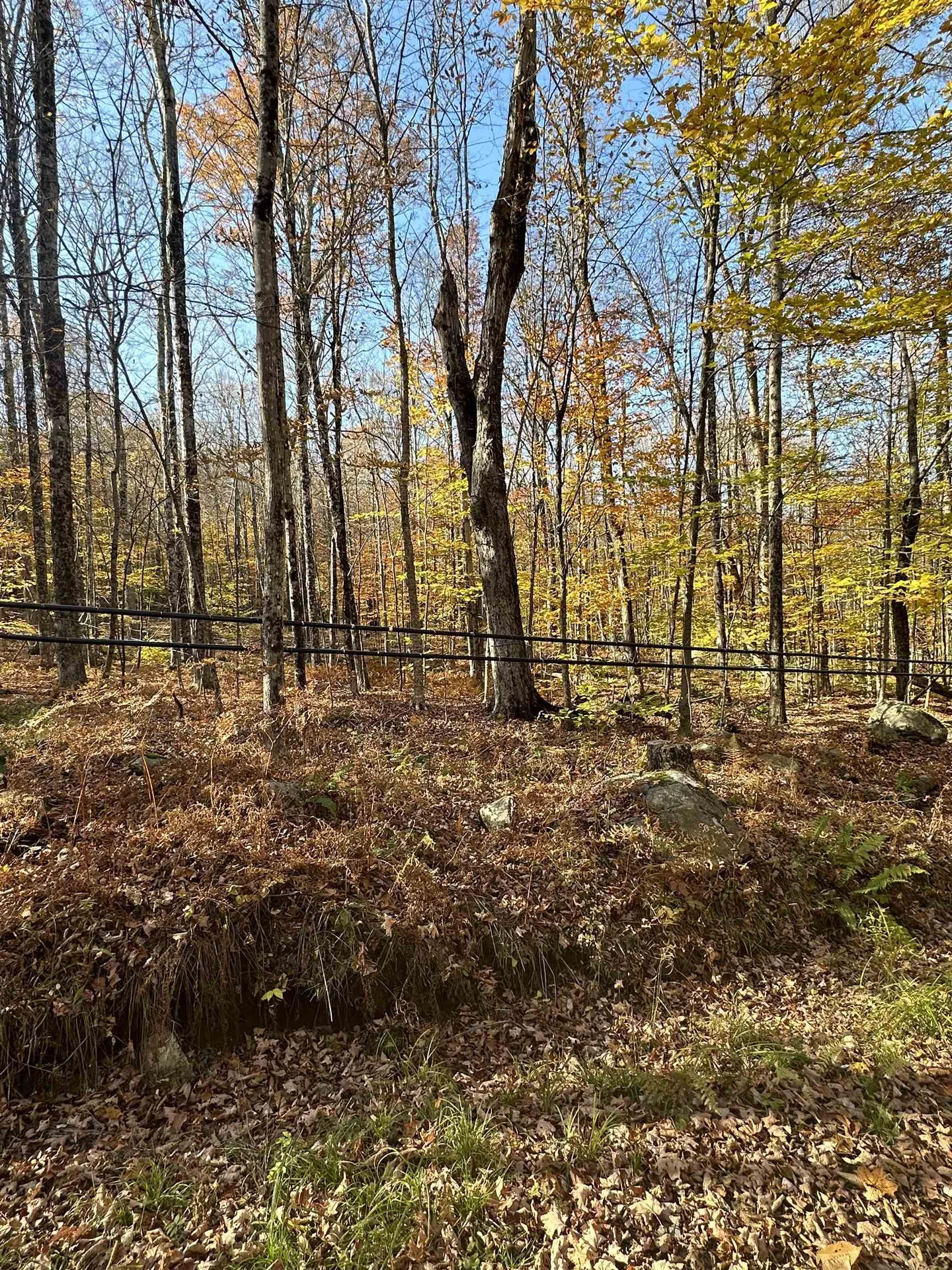 1928 Vt. Route 131 Weathersfield VT 05030