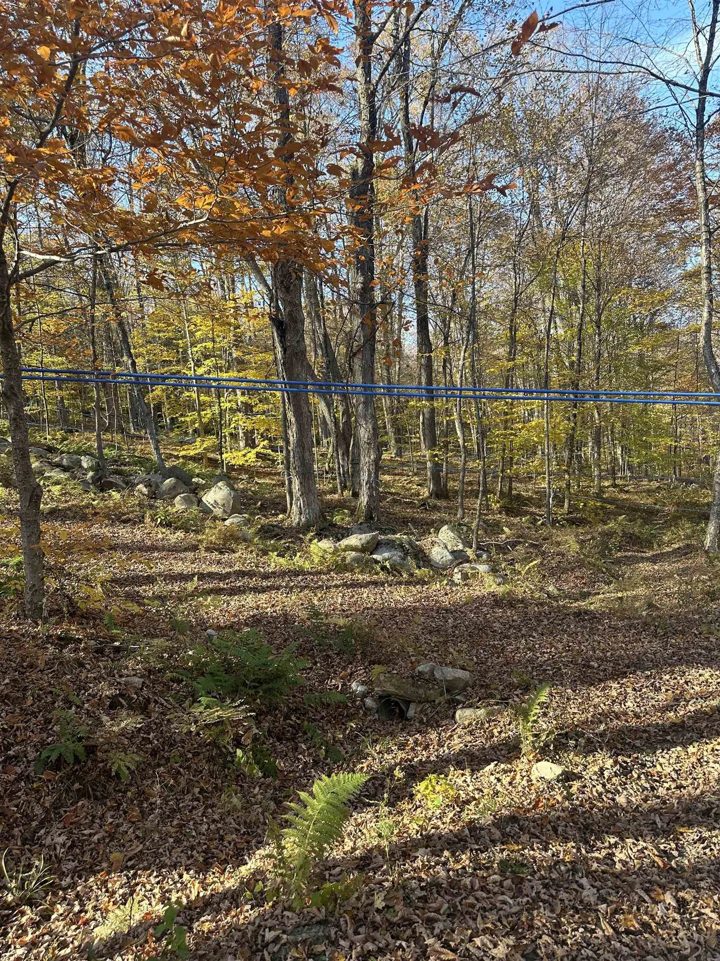 1928 Vt. Route 131 Weathersfield VT 05030