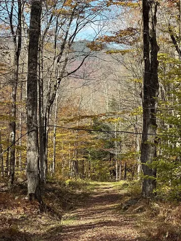 1928 Vt. Route 131 Weathersfield VT 05030