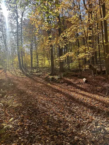 1928 Vt. Route 131 Weathersfield VT 05030